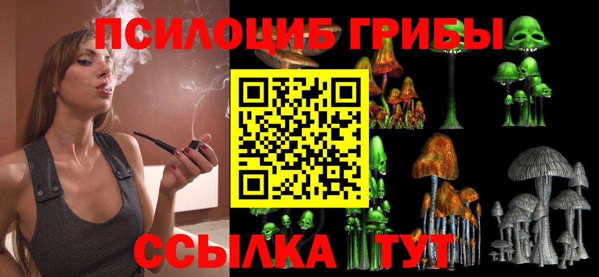 Псилоцибиновые грибы Magic Shrooms Знаменск