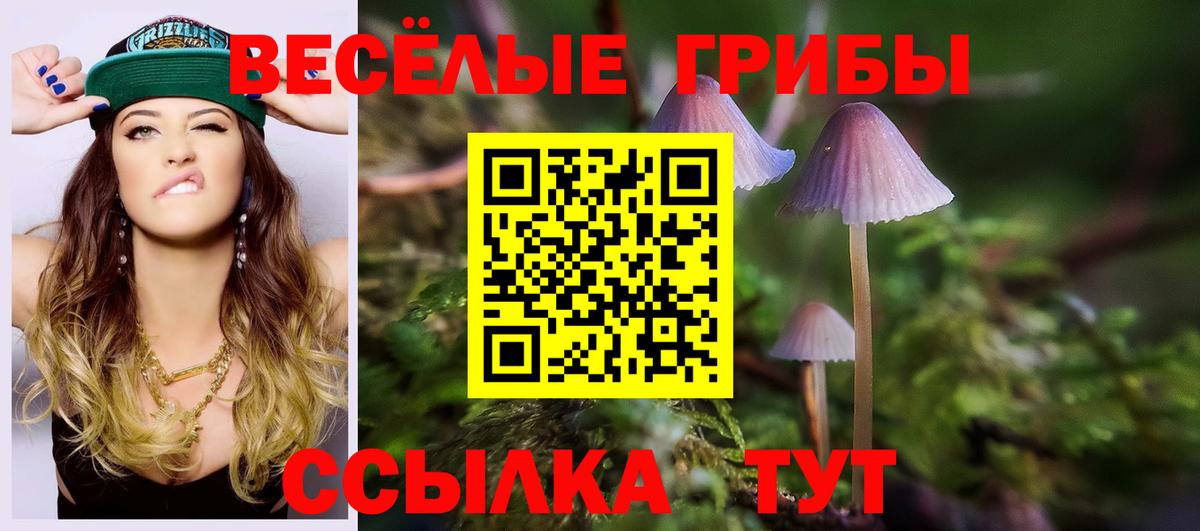 Псилоцибиновые грибы Psilocybe  Псилоцибиновые грибы Psilocybe  Вход с VPN  Знаменск 